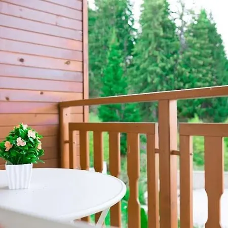 Apartment Dimani-апартхотел форест нук